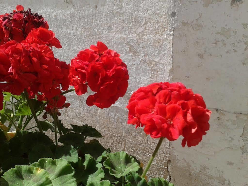 Borgo San Martino Hotel บรา ภายนอก รูปภาพ